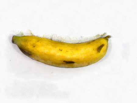 Banana on a white background watercolor style illustration impressionist painting.の写真素材