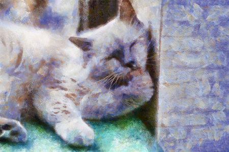Cats in various poses Chalk paint Illustrations creates art style impressionism of painting.の写真素材