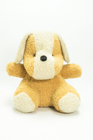 Teddy bears on a white backgroundの写真素材