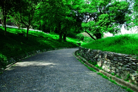 green  ornamental gardenの写真素材