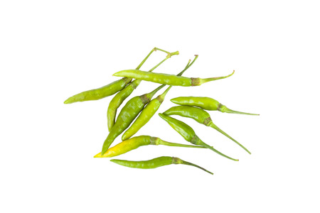 chilli on white backgroundの写真素材