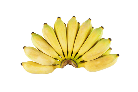Fresh cultivated banana on whiteの写真素材