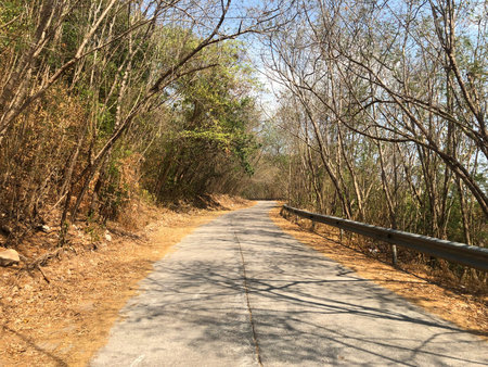 The road on the island of si san in spring