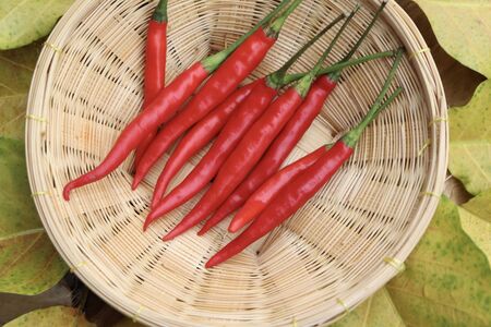 red Capsicum frutescens on basketの写真素材