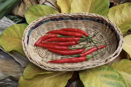red Capsicum frutescens on basketの写真素材