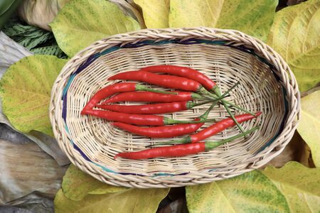 red Capsicum frutescens on basketの写真素材
