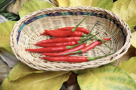 red Capsicum frutescens on basketの写真素材
