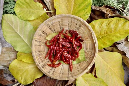 red Capsicum frutescens on leafの写真素材
