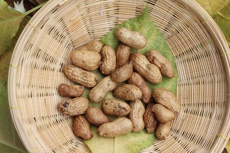 Arachis hypogaea on the basketの写真素材