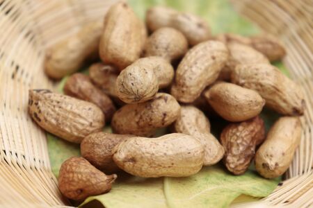 Arachis hypogaea on the basketの写真素材