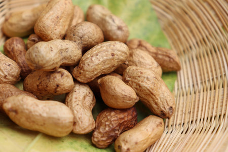 Arachis hypogaea on the basket
