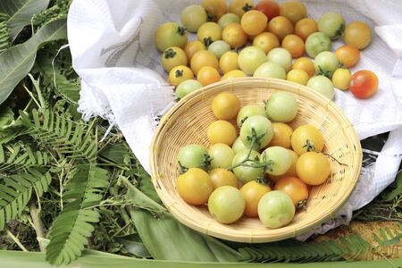 Tomato fruits on white bag and basketの写真素材