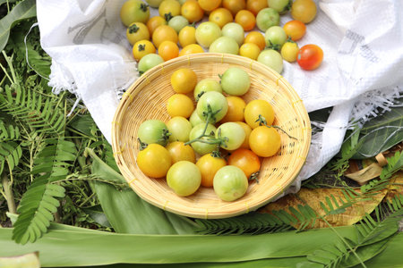 Tomato fruits on white bag and basketの写真素材