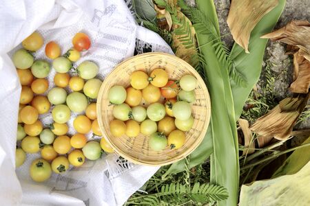 Tomato fruits on white bag and basketの写真素材