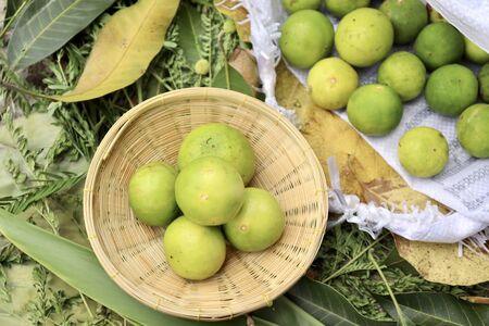 lemon on basket and green leaf backgroundの写真素材