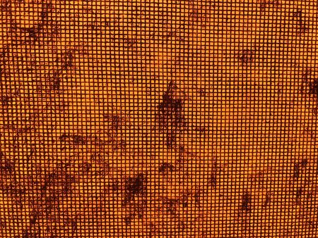 Dust on the metal mesh and the orange backgroundの写真素材