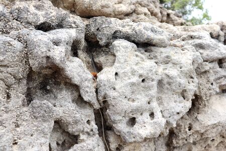 Rocks and dry clay by the river in the summer Chon Buri Thailandの写真素材