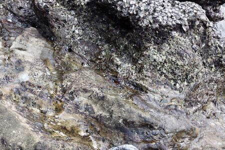 Rock by the sea at thailandの写真素材