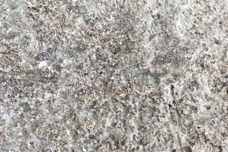 Old Pattern on the stone by the sea at thailandの写真素材