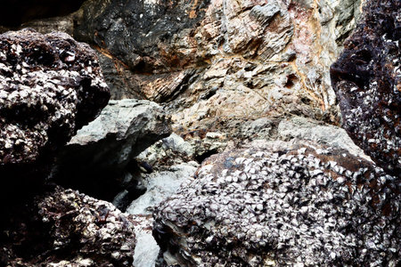 Rock by the sea at thailand