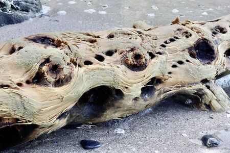 pattern on the wood at seaの写真素材
