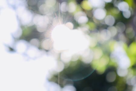 Blurred images under light of sunの写真素材