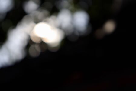 Blurred images under light of sunの写真素材