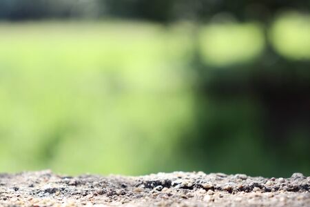 Cement and green natural backgroundの写真素材