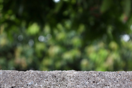 Cement and green natural background