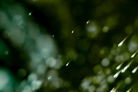 Blurred images and bokeh made from water dropletsの写真素材