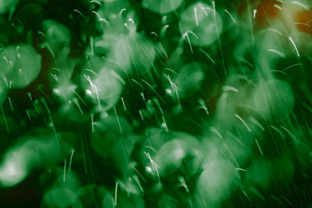 White bokeh in green natural and water dropの写真素材