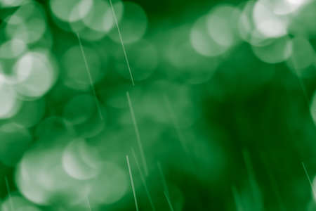 White bokeh in green natural and water dropの写真素材