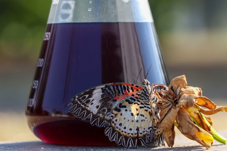 Glass filled with black chemicals and withered flowers