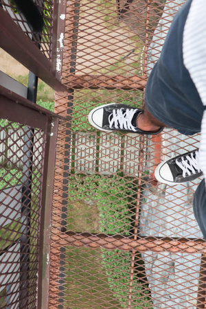 Standing high on a steel net