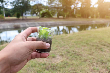 Grow plants in a chemical glassの写真素材