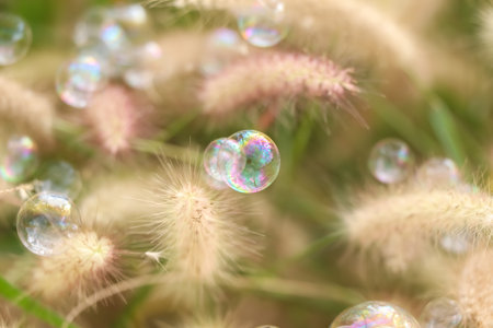 bubbles and natural background in daytime