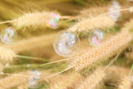 bubbles and natural background in daytime