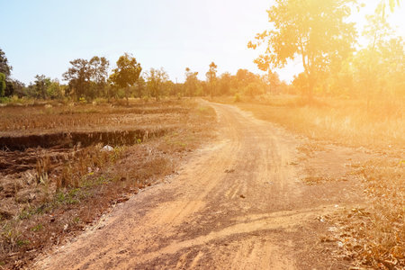 Country road and light at eveningの写真素材