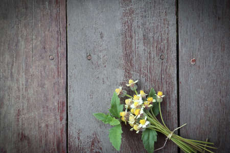 Flower are blooming on wood backgroundの写真素材