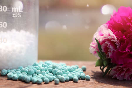 Urea and flower are bloomingの写真素材