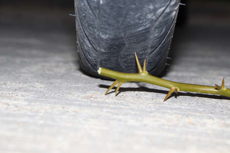 Thorn trap and sharp on the roadの写真素材