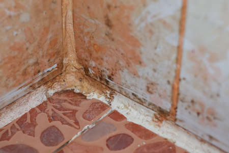 Dirty stains in the old bathroom in big cleaning dayの写真素材