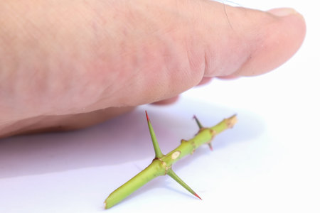 The thorns and sharp stabs their feet hurt