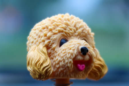 small and cute dog dollの写真素材