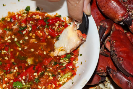 hairy rock crab, fresh food from the seaの写真素材