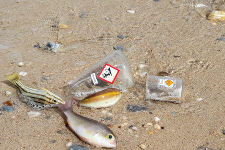 Dead fish on the beach by dangerous chemicalsの写真素材