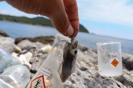 Soft cuttlefish die after dangerous chemicals leak into the sea