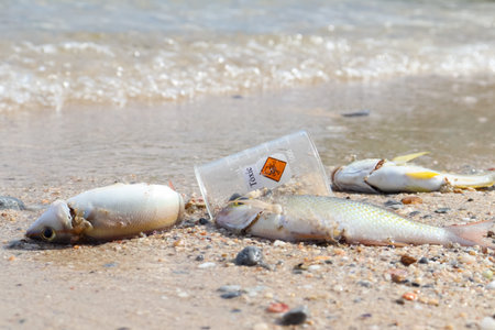 Dead fish on the beach by dangerous chemicals