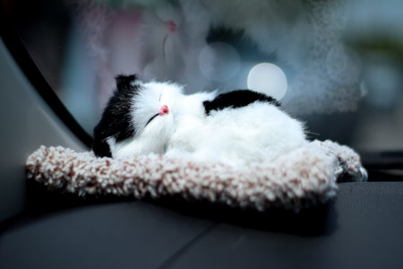 A little cat is sleeping on the front of the car and shadows on the glass