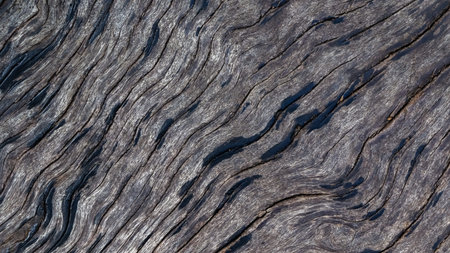 wood background and texture, old wood pattern, wood raw materialの写真素材